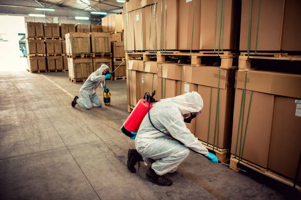 Best Termite Control Services  in , GA