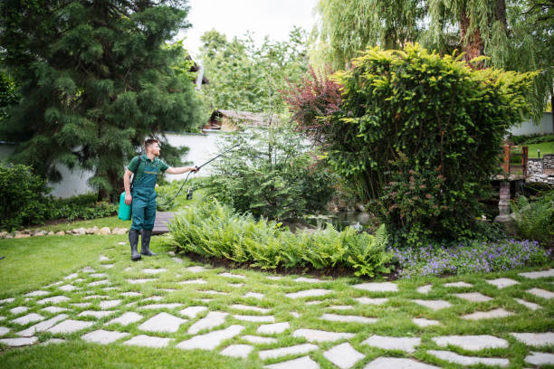 Best Residential Pest Control  in , GA