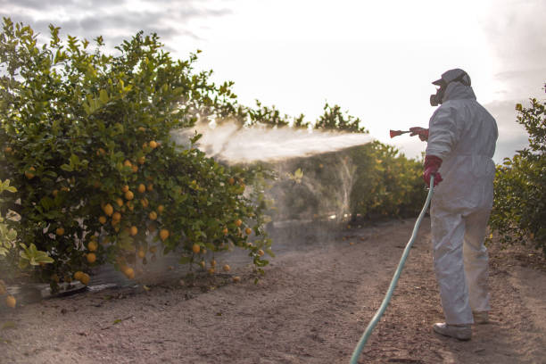 Best Commercial Pest Control Services  in , GA